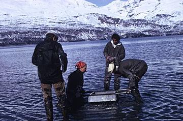 Alaskan Pipeline survey