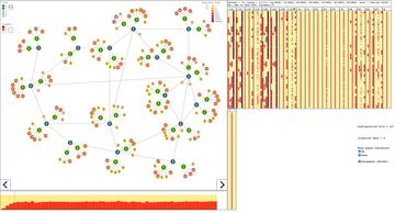 Network simulation visualization tool