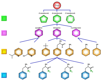 Schematic showing a five level hierarchy through which, at the lowest fifth levels, individual chemical compounds can be structurally related to a chemically similar precursor (fourth level), a common chemical moiety (third level), a specific chemical concept (second level) and a general chemical concept (first level).