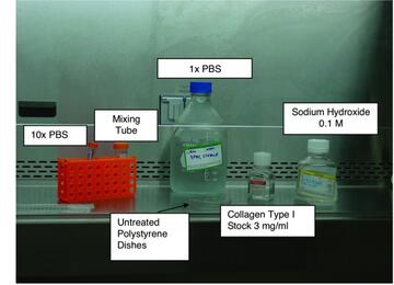 Collagen fibril workflow