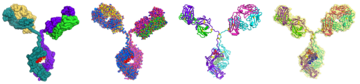 the&nbsp;NIST&nbsp;monoclonal antibody
