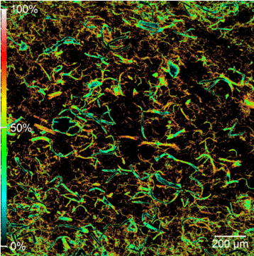Microscopic image showing Förster resonance energy transfer (FRET) as nanocellulose fibers interact and disperse within a polyethylene polymer matrix.