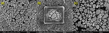 Evaporated gold-on-carbon samples.
