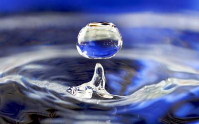 a drop of water springing up from a pool