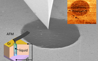 micrographs