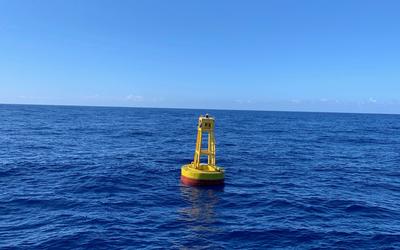 A yellow buoy with a red base floats in the sea under a blue sky. 