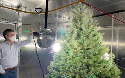 A researcher wearing a face mask gestures to a Christmas tree set up in a metallic box with a large spotlight shining on it. 