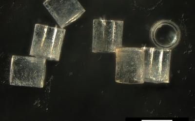microparticles