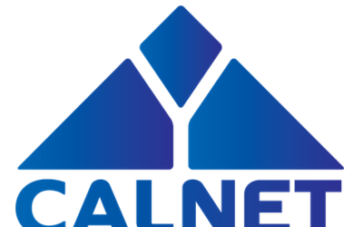 Blue segmented triangle 