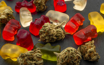Close-up photo of multicolored gummy bears lying on a surface with cannabis buds interspersed.