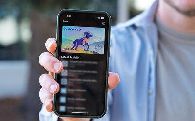 Close-up of a smartphone held in a person's hand, showing a Colorado mobile driver's license with an image of a bighorn sheep. 