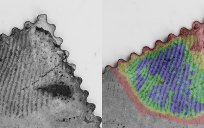 A postage stamp with a fingerprint on it is shown twice, once in black and white and then with different regions colorized.