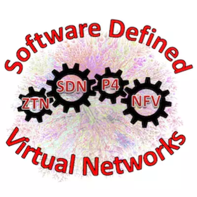 Software Defined and Virtual Networks
