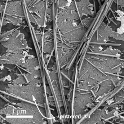 black and white image that looks like sticks scattered across a light gray background