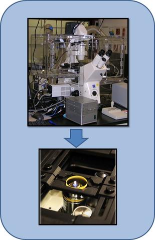 Fluorescence benchmarking