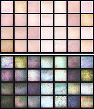NIST researchers are gathering skin reflectance data to establish the variation found in human tissue in order to develop reference standards for hyperspectral imaging applications. 