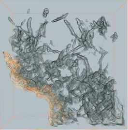 Three-dimensional view of carbon nanostructures grown on the surface of a glass fiber