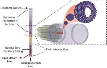 3D Liposome Formation Device