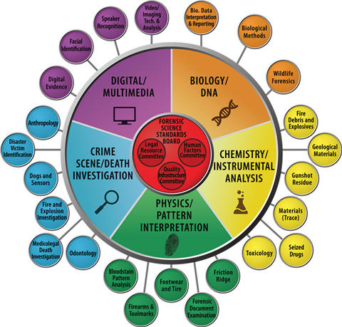 OSAC_Circular_Org-_Chart-web OSAC_Circular_Org-_Chart-web