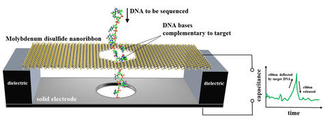 DNA sequencer based on an electronic motion sensor