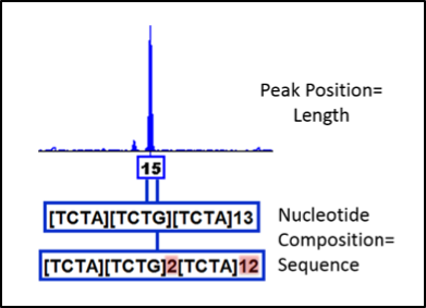 CE and sequencing results for STR D3S1358 an allele 15 example