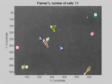 Live cell autosegmentation and tracking