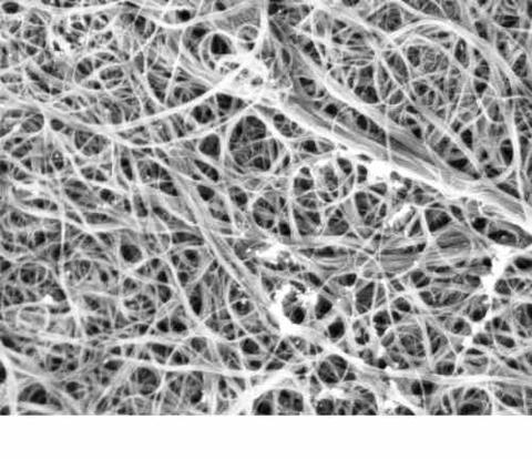 Carbon nanotubes