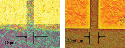 optical micrographs