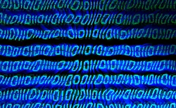 digital data
