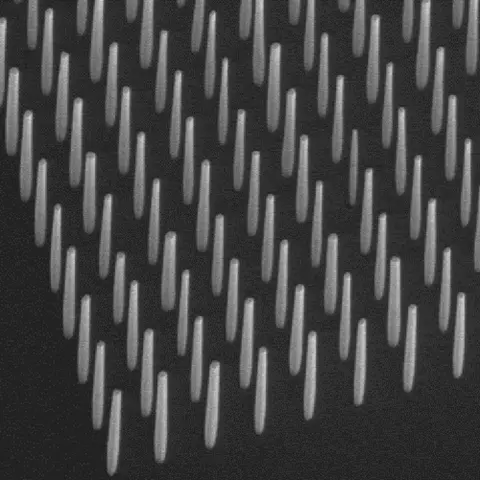GaN nanowires