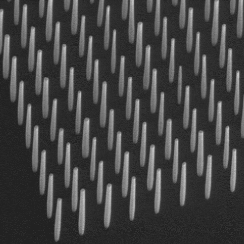 GaN nanowires