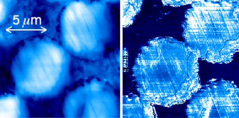Images from NIST's atomic force microscope