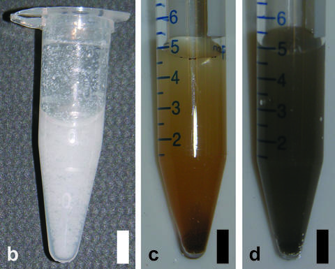 Three complex samples that can be successfully analyzed by the NIST GEMBE system: (b) whole milk, (c) dirt and (d) coal fly ash.