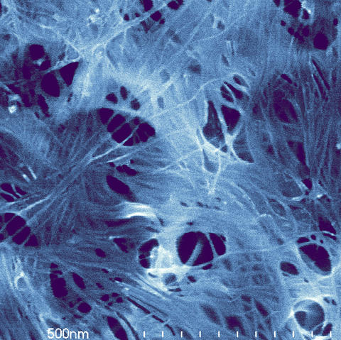 SEM image demonstrates a pseudo 2D network of carbon nanotubes deposited like paper fibers in a thin, sparse sheet.