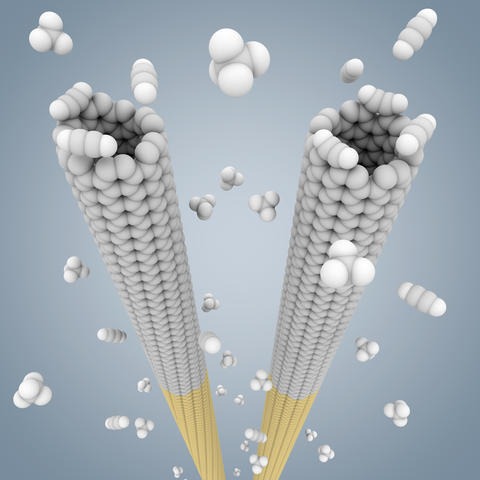 In this computer model, small, pre-selected nanotube "seeds" are grown to long nanotubes of the same twist or "chirality" in a high-temperature gas of small carbon compounds.
