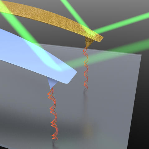 Artist's conception of JILA's advance in atomic force microscope (AFM) design. 
