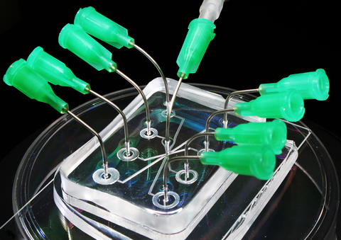 A microfluidic lab on a chip device sitting on a polystyrene dish. 