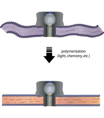 nanopores illustration