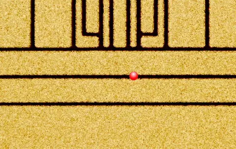 ion trap micrograph