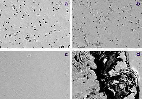 Wearable Electronics Composite Image