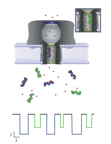 Nanopore-based single molecule mass spectrometry illustration