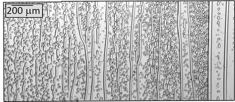 Confined two component polymeric emulsion under shear