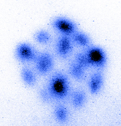 image 2 (of 3) of colorized images that show strontium atoms forming a "cube"