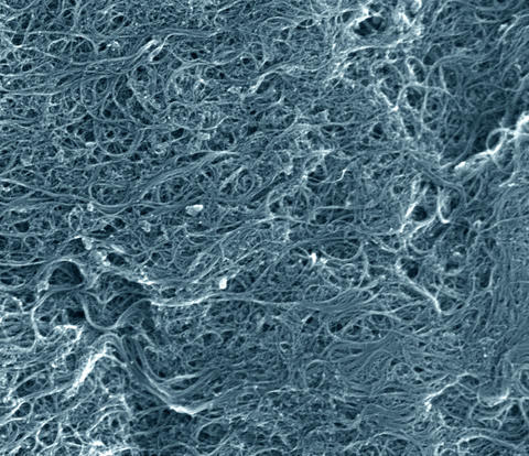 Scanning electron microscope image of a typical sample of the NIST single-wall carbon nanotube soot standard reference material. 
