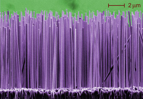 Semiconductor nanowires that emit ultraviolet light