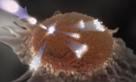 Artist's illustration showing a HeLa cell with its top already "milled" off being probed by a secondary ion mass spectrometry (SIMS) beam. 