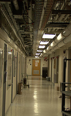 Photo of interior hallway in Boulder Building 1