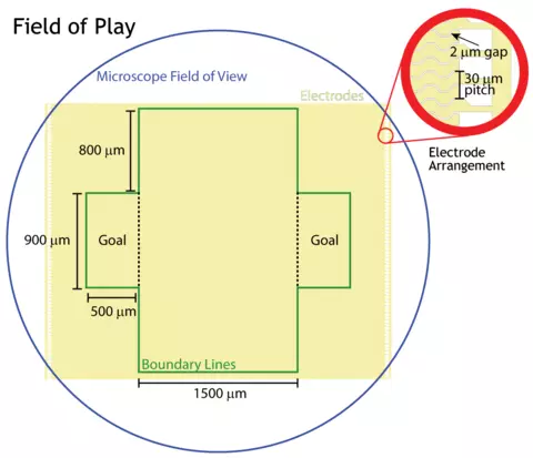 Nanosoccer Field of Play
