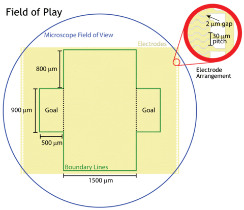 Nanosoccer Field of Play