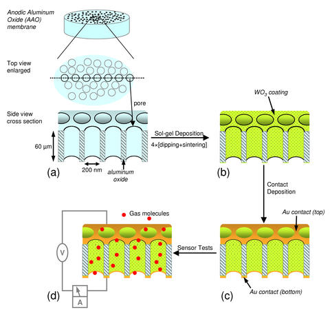 Metal-oxide nanotubes schematic diagram
